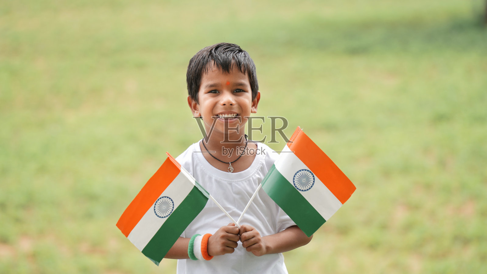 小男孩举着三色旗庆祝独立日照片摄影图片