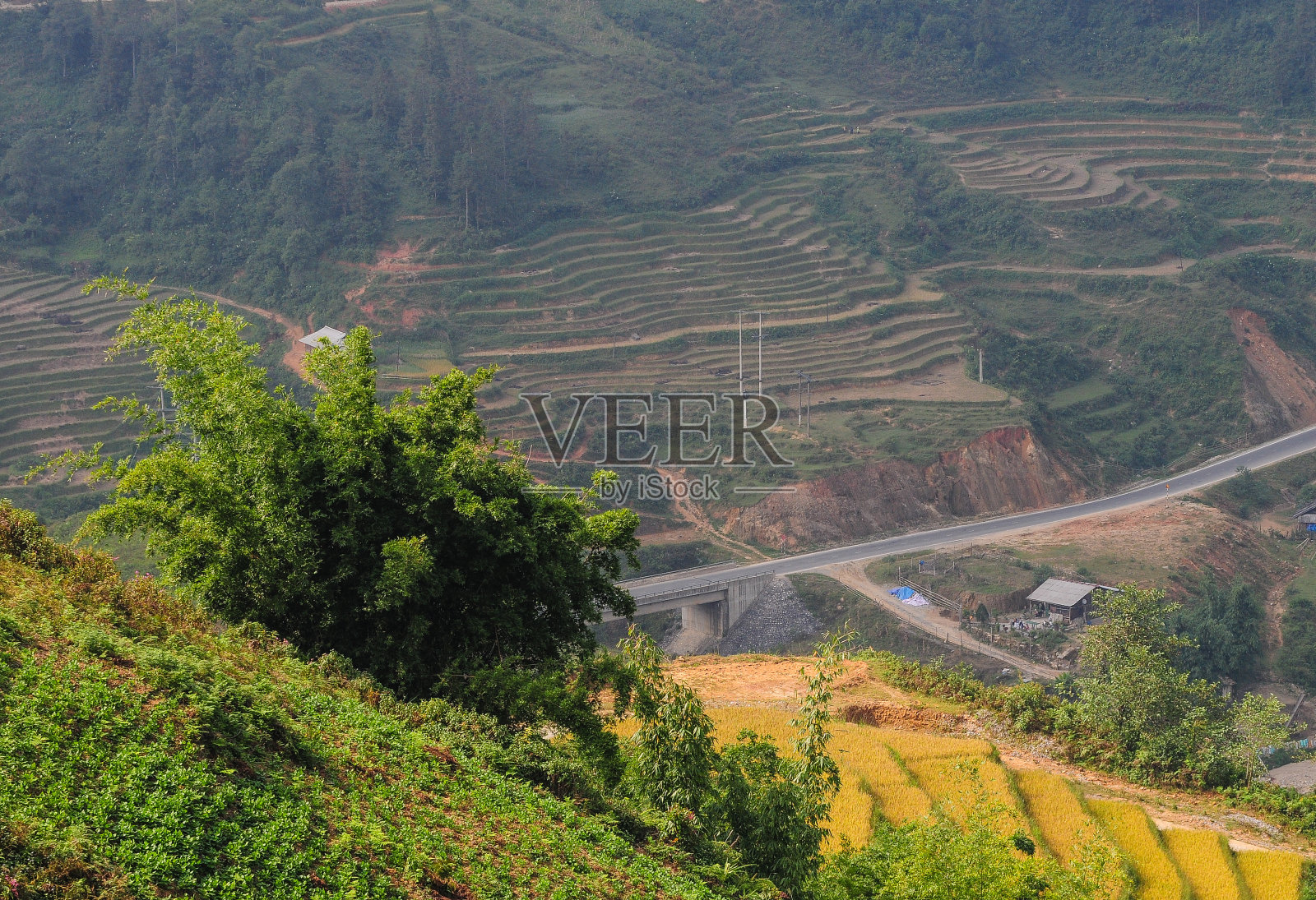 越南梯田景观照片摄影图片