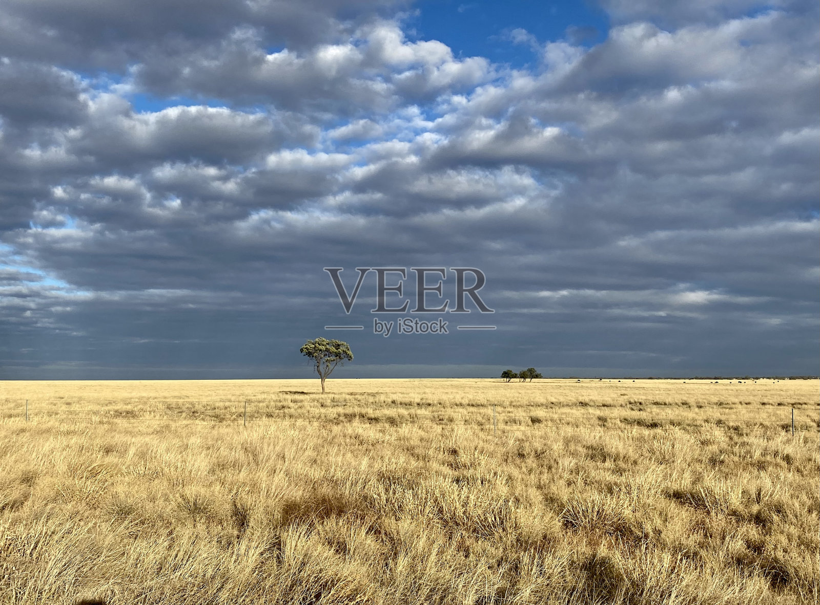 内地昆士兰照片摄影图片