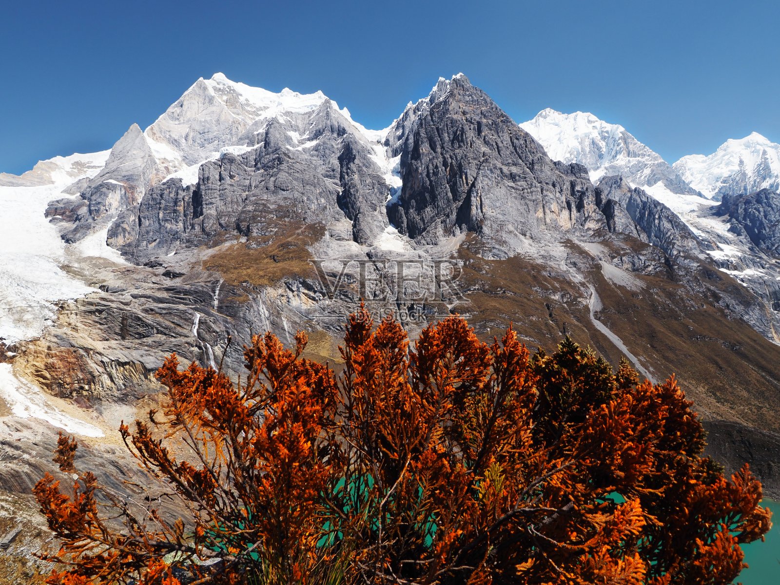 山前的灌木照片摄影图片