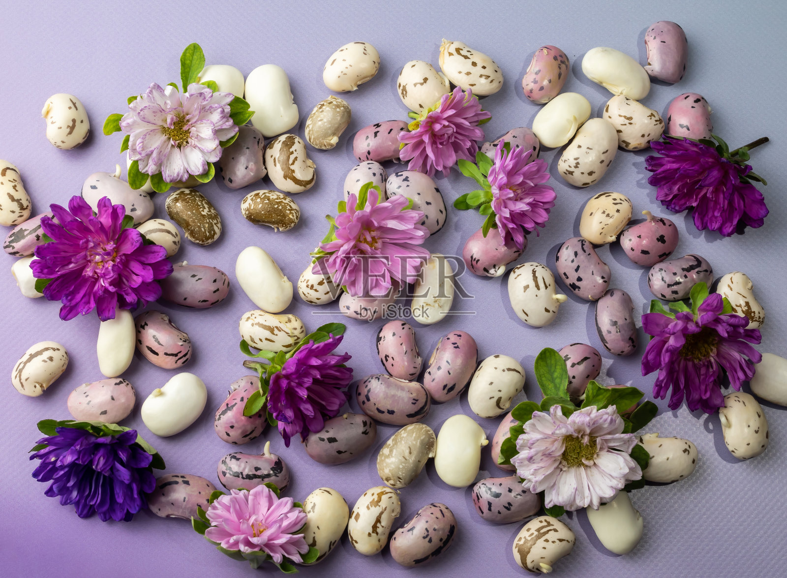 豆子和花照片摄影图片