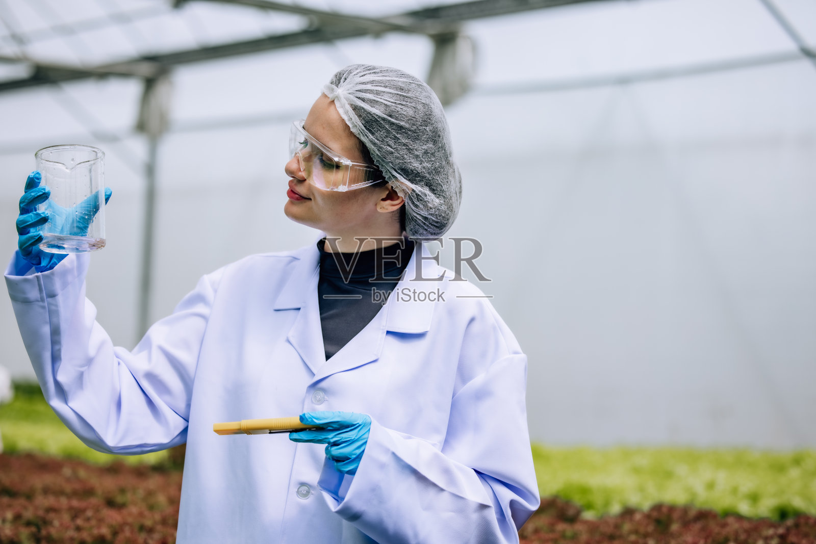 水培科学家使用pH计进行质量控制,确保最佳的栽培条件照片摄影图片