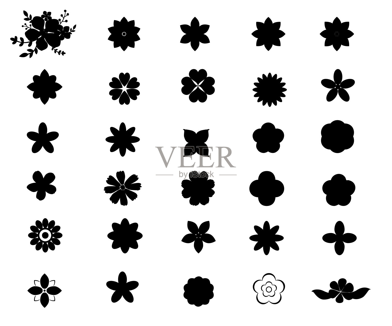 花与叶插画图片素材