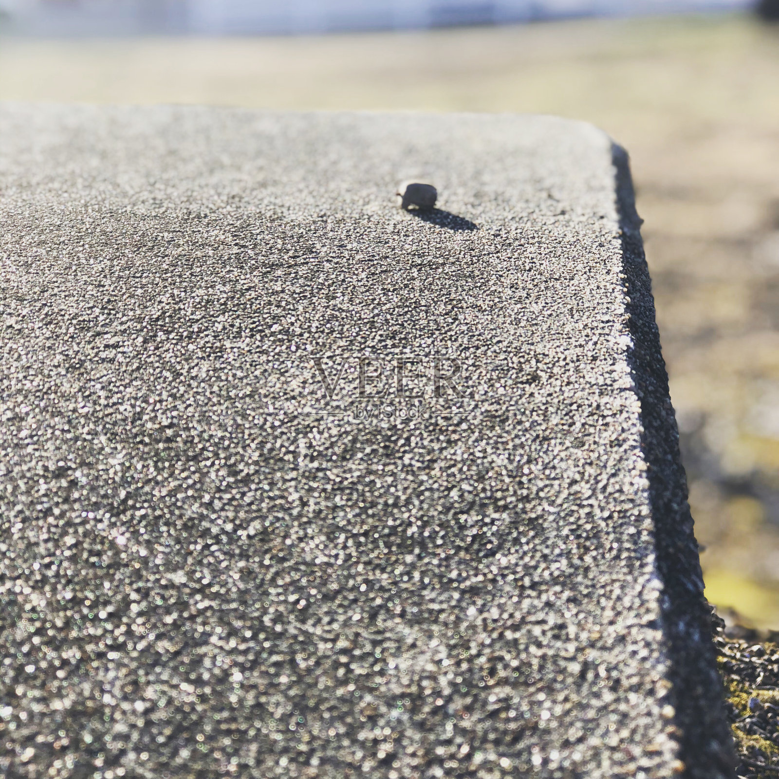 斑点照片摄影图片