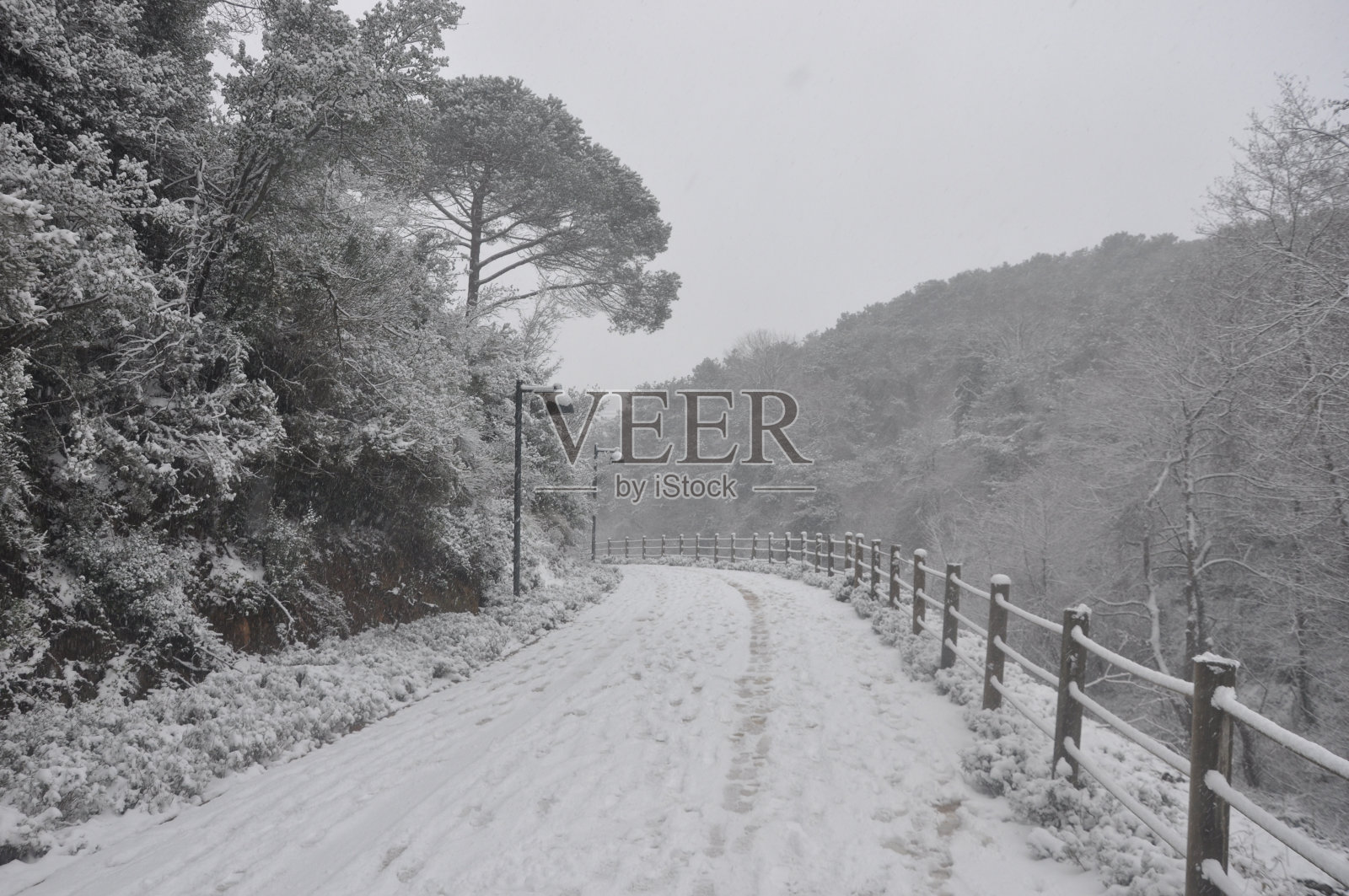 公园里的一条小路照片摄影图片