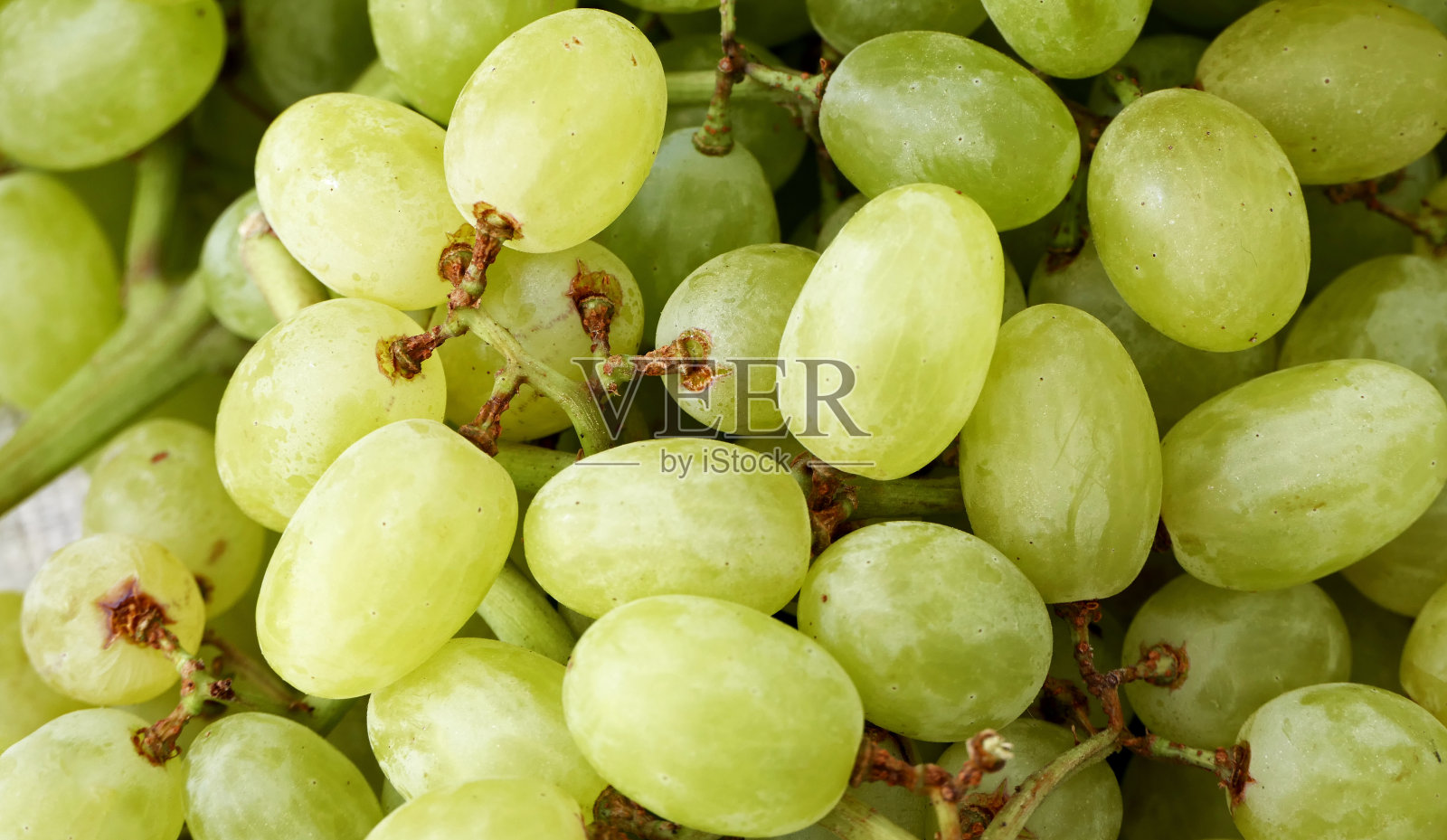 有机和新鲜的绿色葡萄特写照片摄影图片