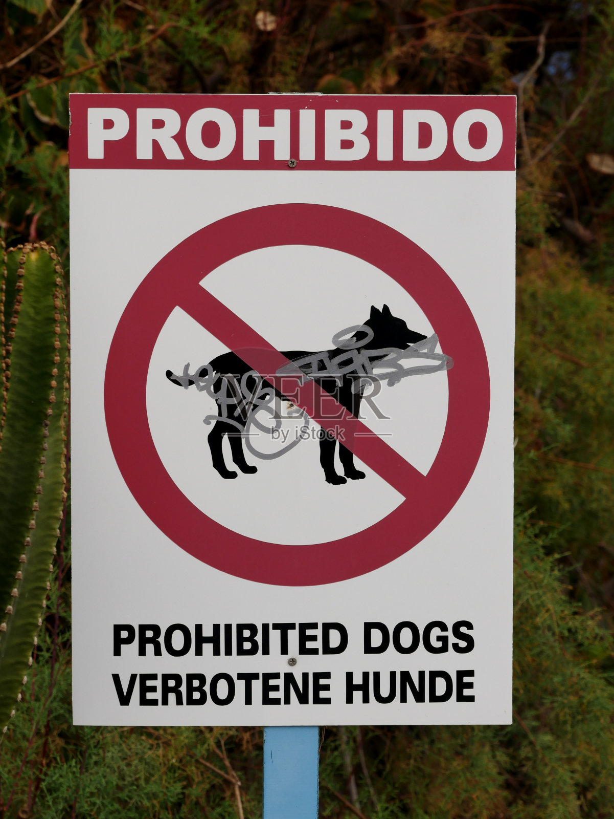 禁止狗照片摄影图片