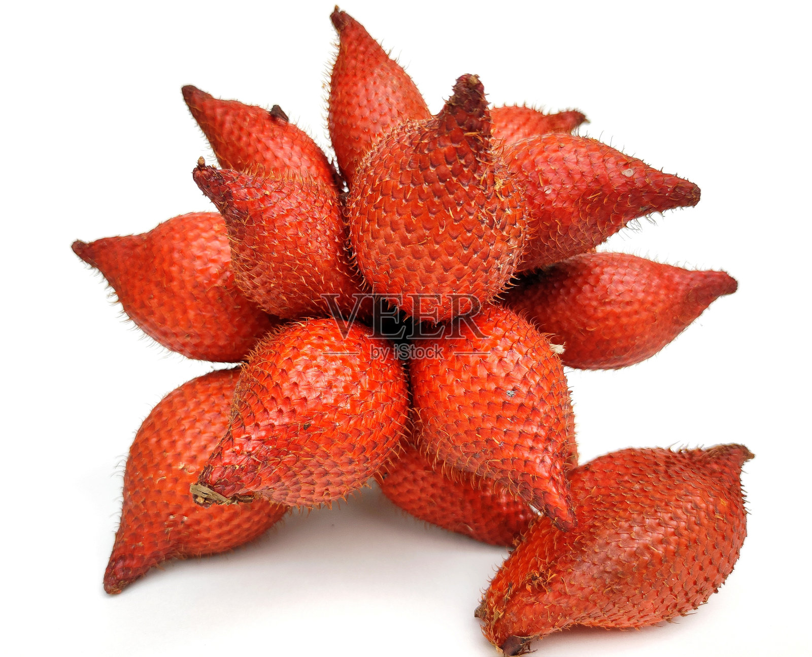 菖蒲zalacca照片摄影图片