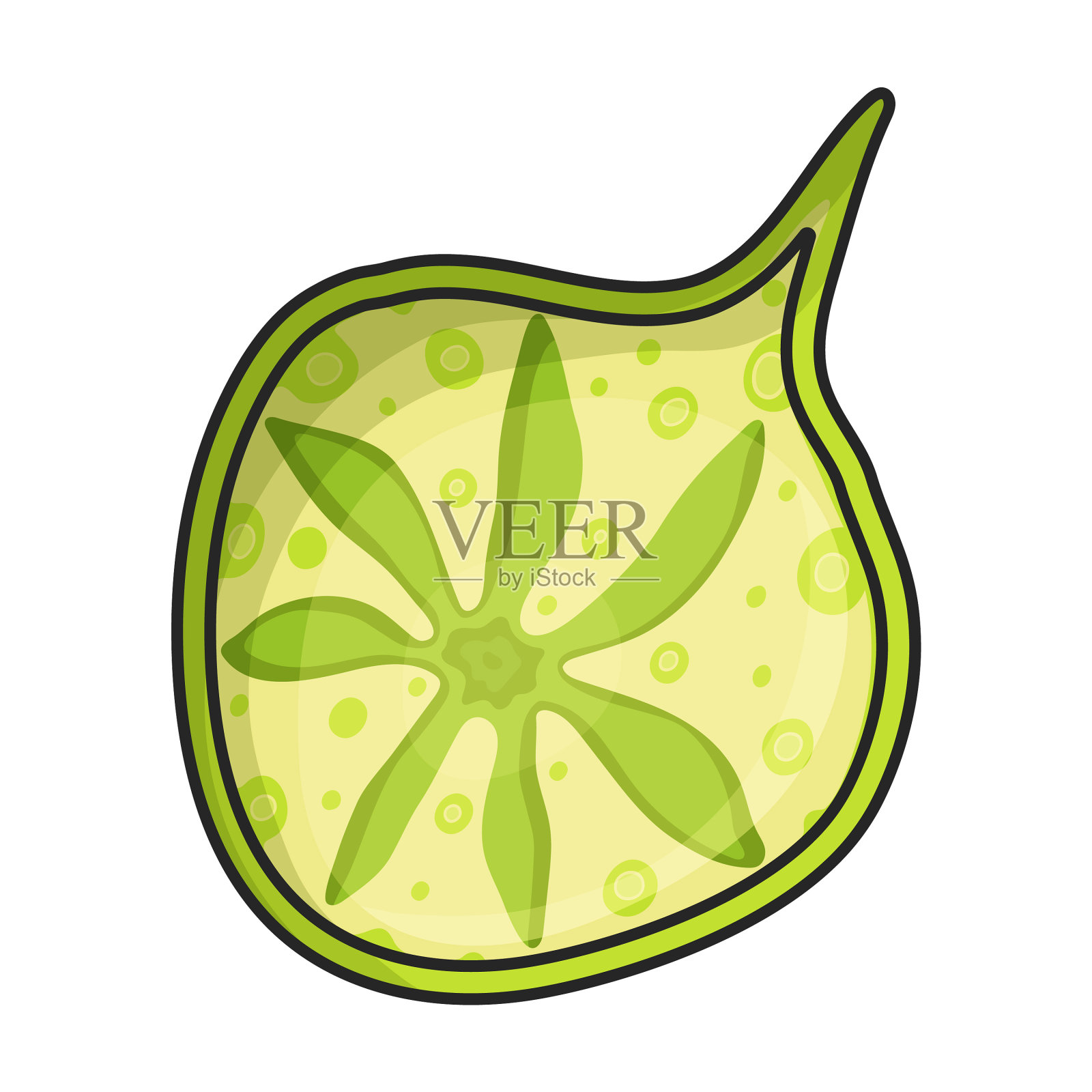 浮游生物图标颜色标志孤立在白色插画图片素材