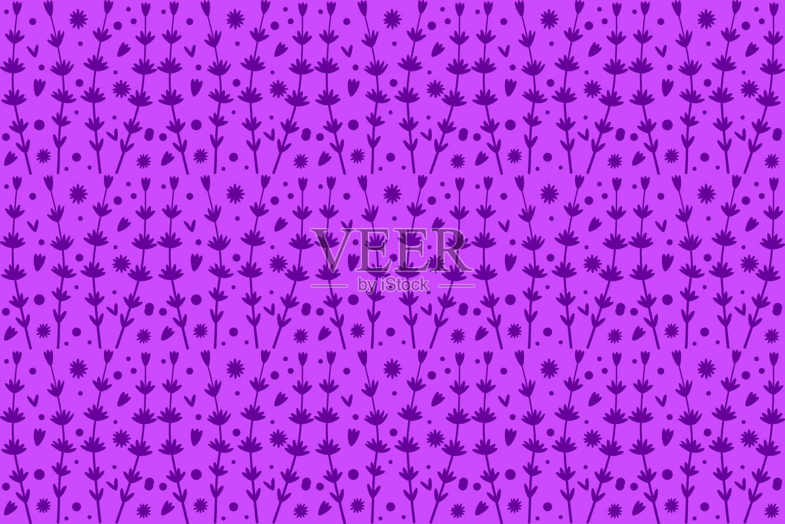 薰衣草的模式。薰衣草轮廓图案插画图片素材