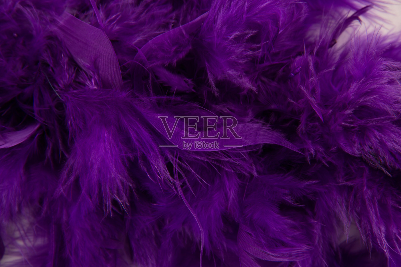 美丽的羽毛纹理复古背景。照片摄影图片