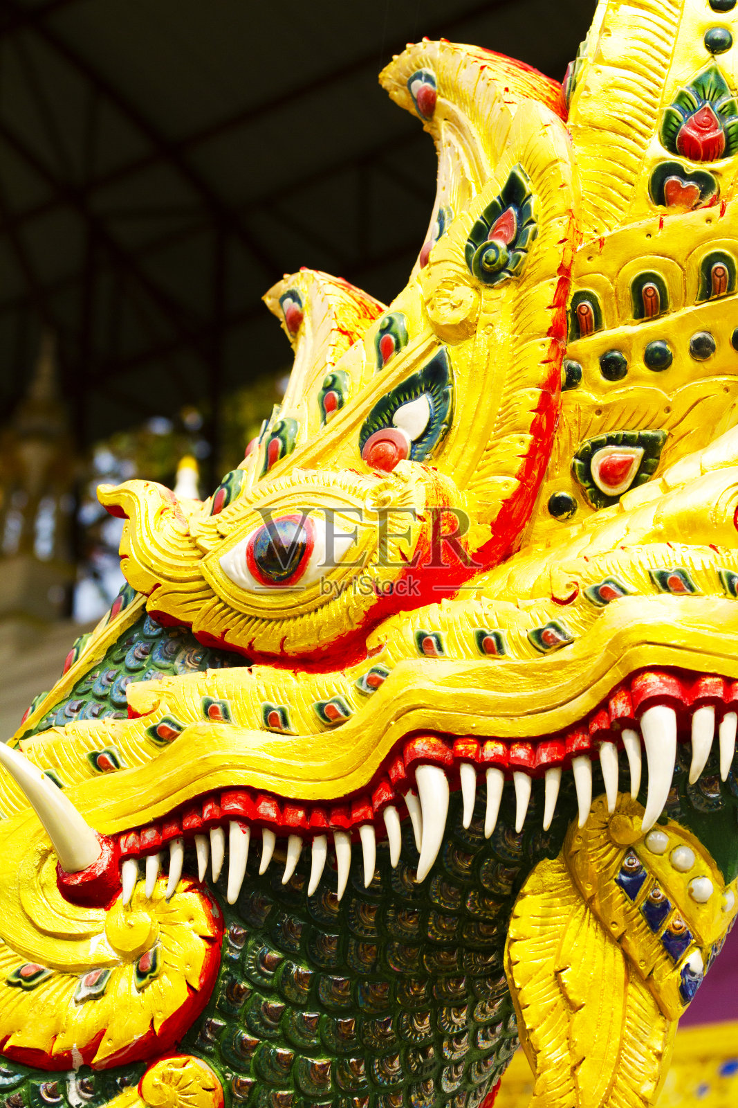 在清迈省农村的寺庙里,金黄色的泰国中国龙雕像照片摄影图片