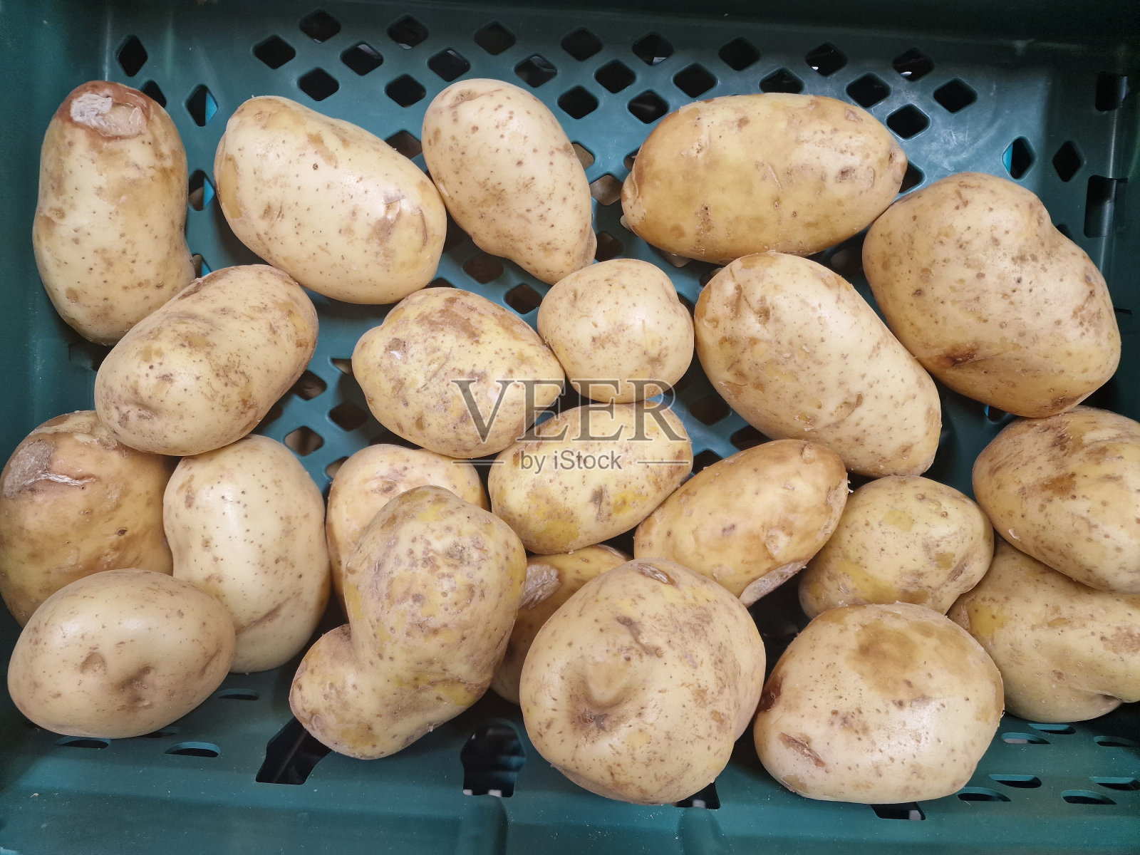 土豆照片摄影图片