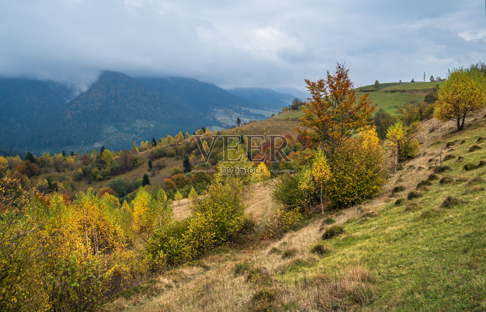 多云多雾天秋山景象。宁静如画的旅游、季节性、自然和乡村美概念场景。喀尔巴阡山脉,乌克兰。照片摄影图片