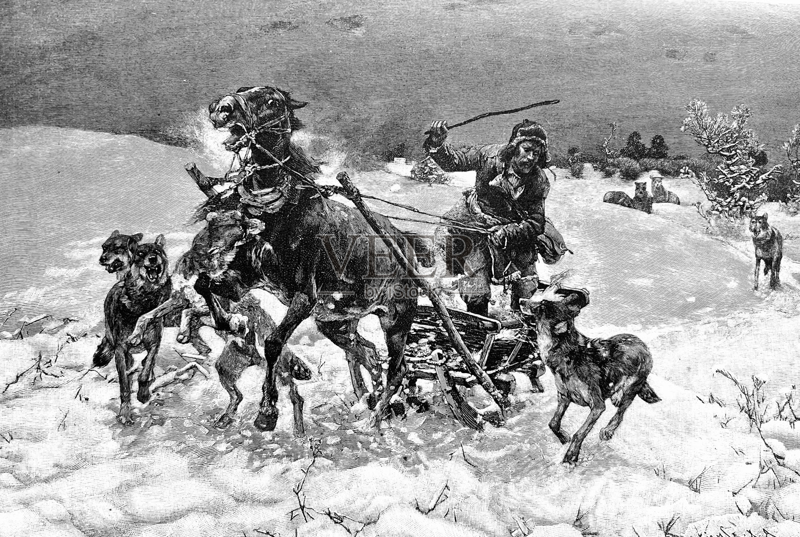 狼在冬天袭击马车插画图片素材