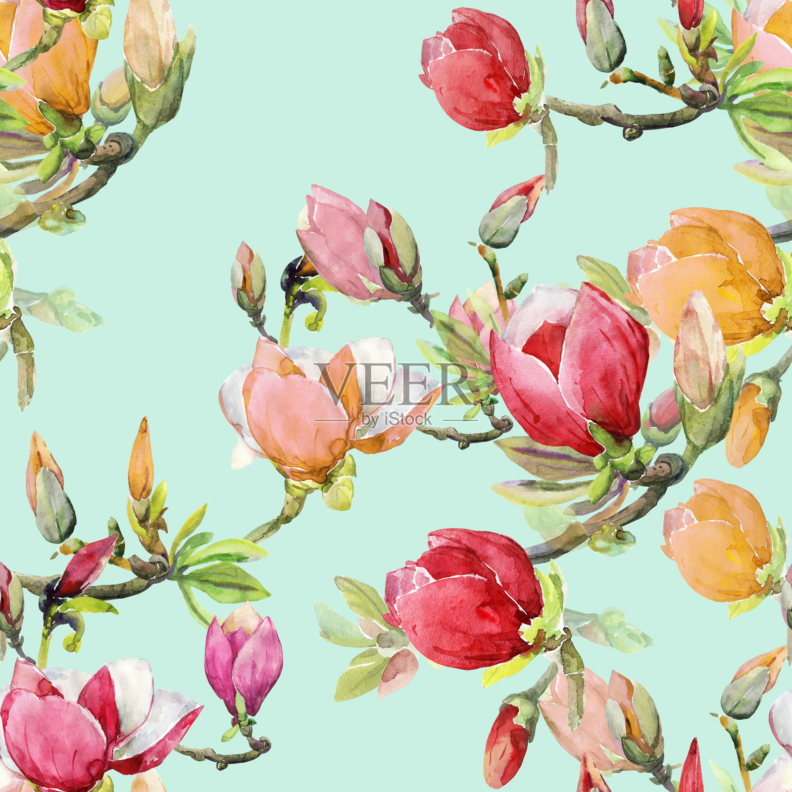 无缝图案的木兰枝插画图片素材