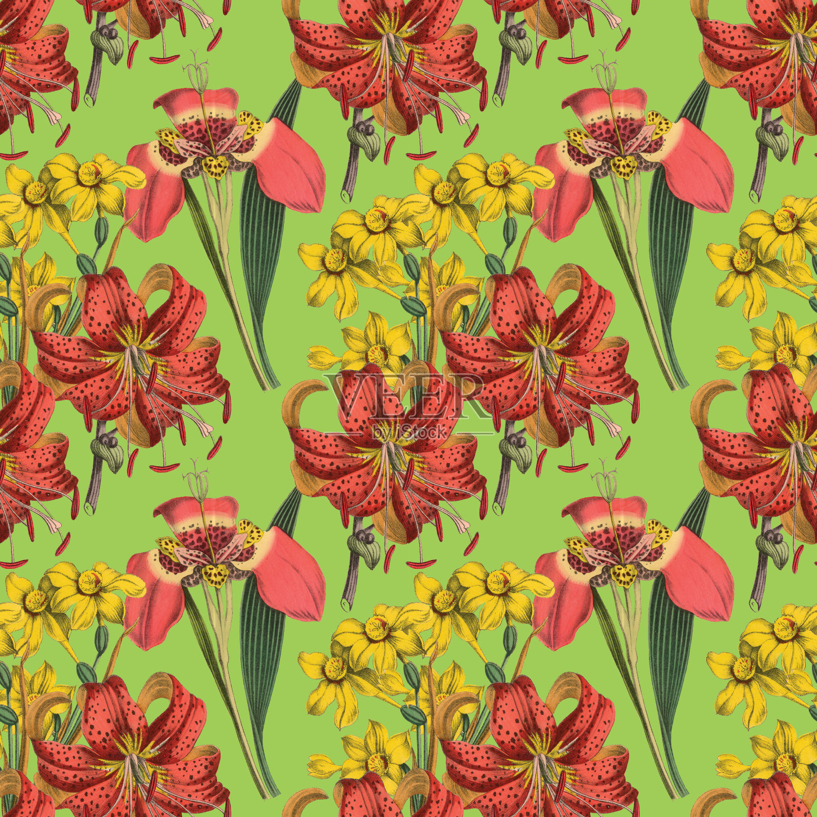 维多利亚植物,手工着色,无缝重复图案。现实的盛开孤立的花复古织物背景。美丽的村舍花园和野花。壁纸巴洛克风格。绘画雕刻。维多利亚时代的插图。插画图片素材