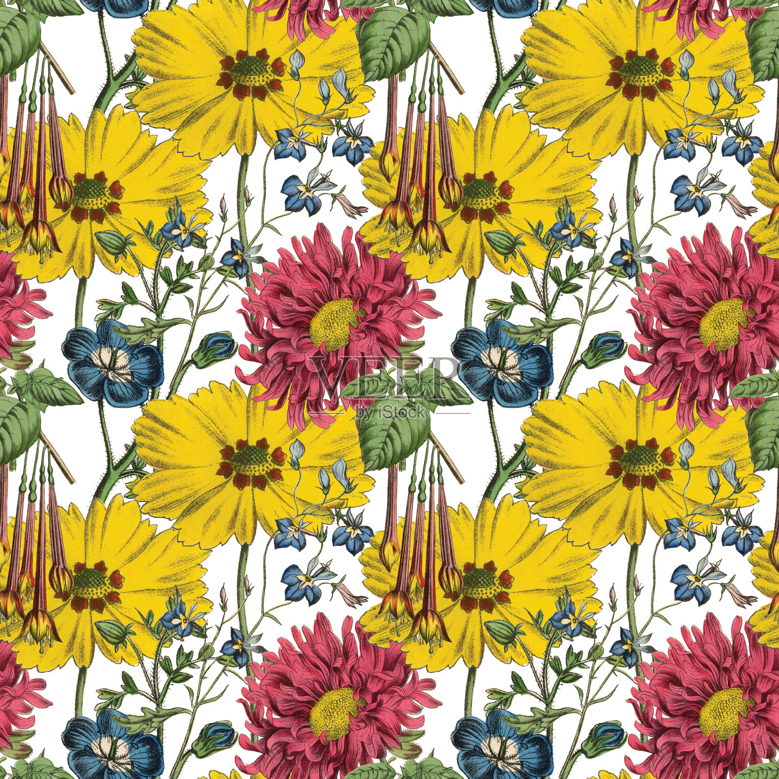 维多利亚植物,手工着色,无缝重复图案。现实的盛开孤立的花复古织物背景。美丽的村舍花园和野花。壁纸巴洛克风格。绘画雕刻。维多利亚时代的插图。插画图片素材