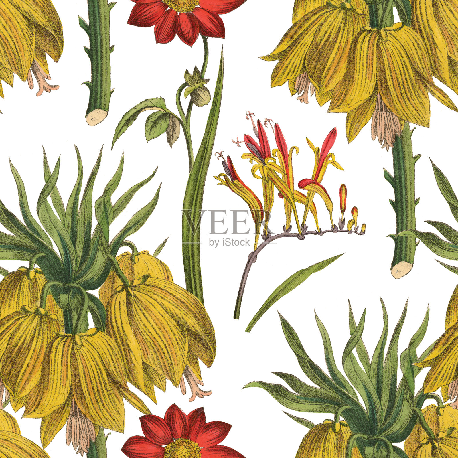 维多利亚植物,手工着色,无缝重复图案。现实的盛开孤立的花复古织物背景。美丽的村舍花园和野花。壁纸巴洛克风格。绘画雕刻。维多利亚时代的插图。插画图片素材