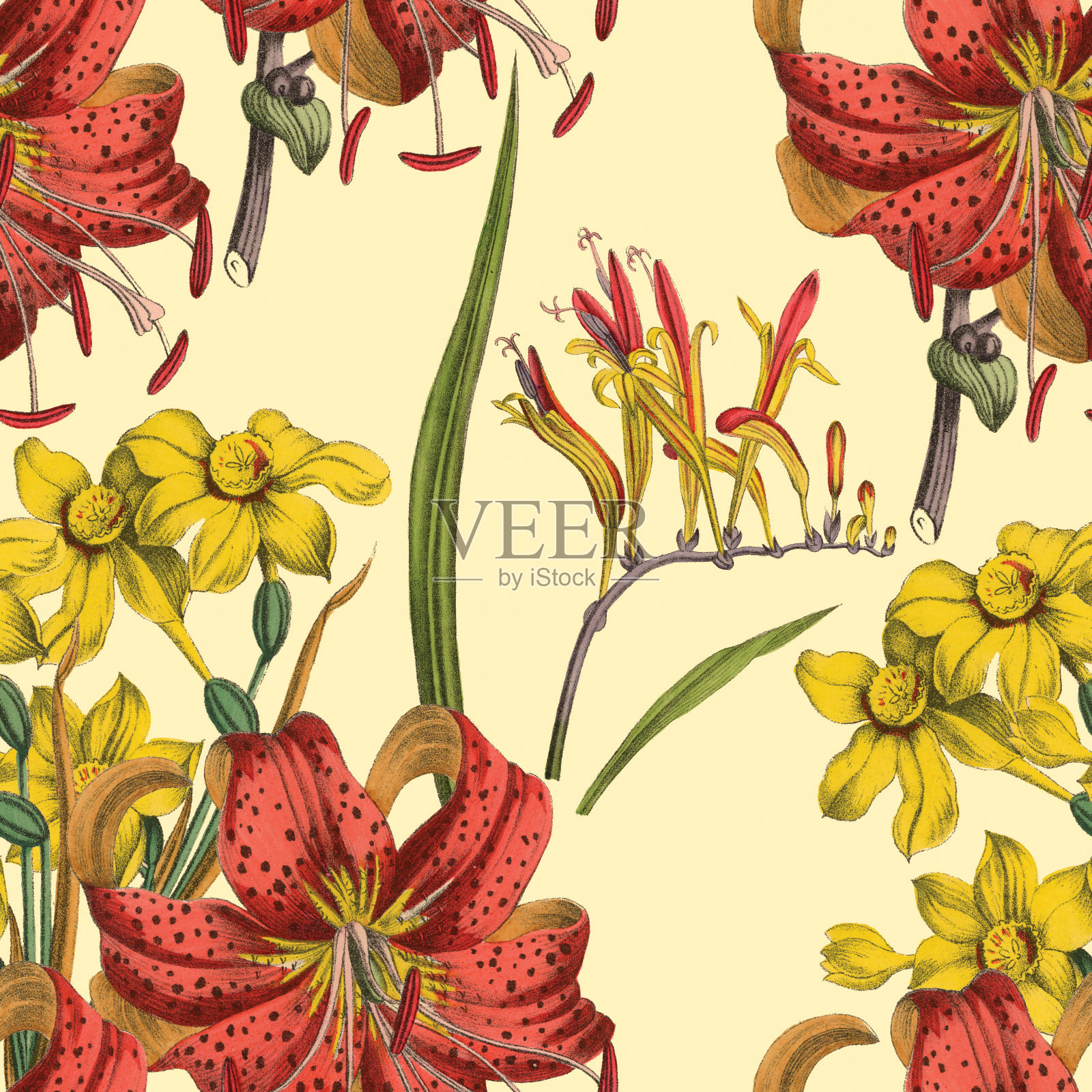 维多利亚植物,手工着色,无缝重复图案。现实的盛开孤立的花复古织物背景。美丽的村舍花园和野花。壁纸巴洛克风格。绘画雕刻。维多利亚时代的插图。插画图片素材