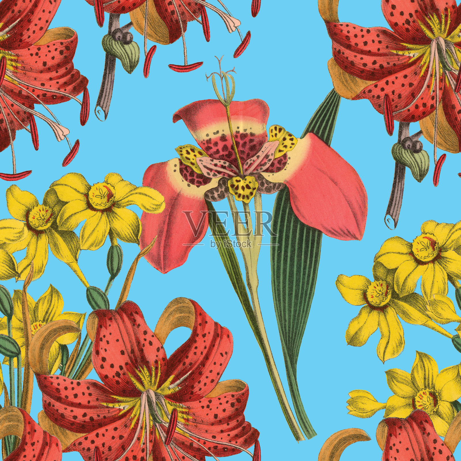 维多利亚植物,手工着色,无缝重复图案。现实的盛开孤立的花复古织物背景。美丽的村舍花园和野花。壁纸巴洛克风格。绘画雕刻。维多利亚时代的插图。插画图片素材