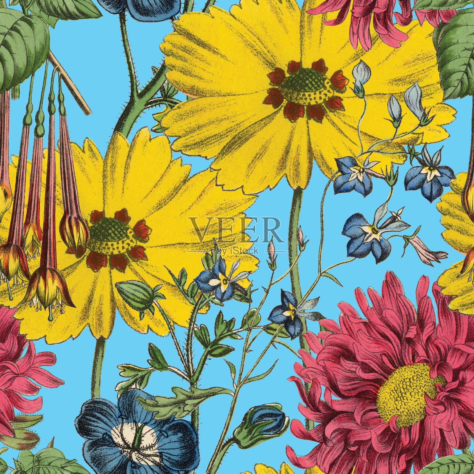 维多利亚植物,手工着色,无缝重复图案。现实的盛开孤立的花复古织物背景。美丽的村舍花园和野花。壁纸巴洛克风格。绘画雕刻。维多利亚时代的插图。插画图片素材