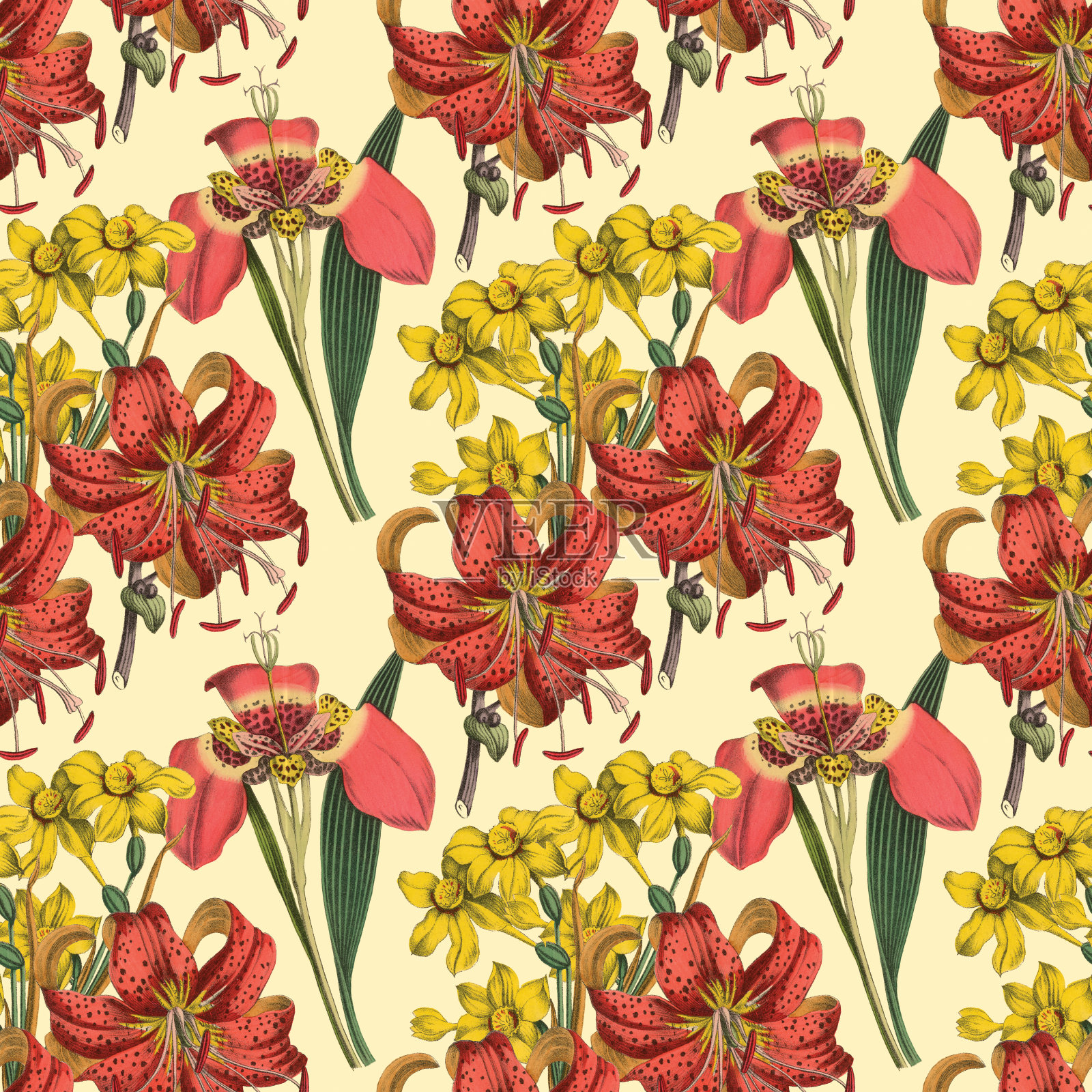 维多利亚植物,手工着色,无缝重复图案。现实的盛开孤立的花复古织物背景。美丽的村舍花园和野花。壁纸巴洛克风格。绘画雕刻。维多利亚时代的插图。插画图片素材