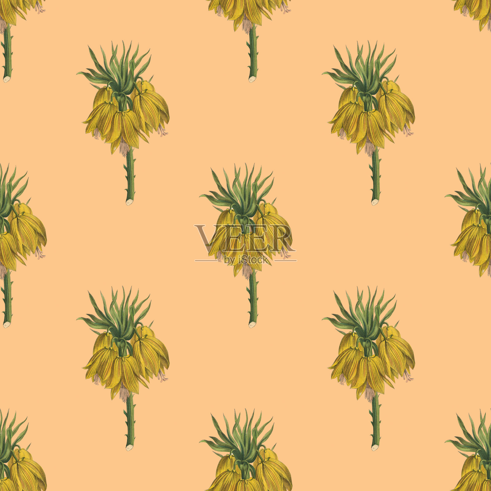 手工着色,维多利亚植物,无缝重复图案。现实的盛开孤立的花复古织物背景。美丽的村舍花园和野花。壁纸巴洛克风格。绘画雕刻。维多利亚时代的插图。插画图片素材