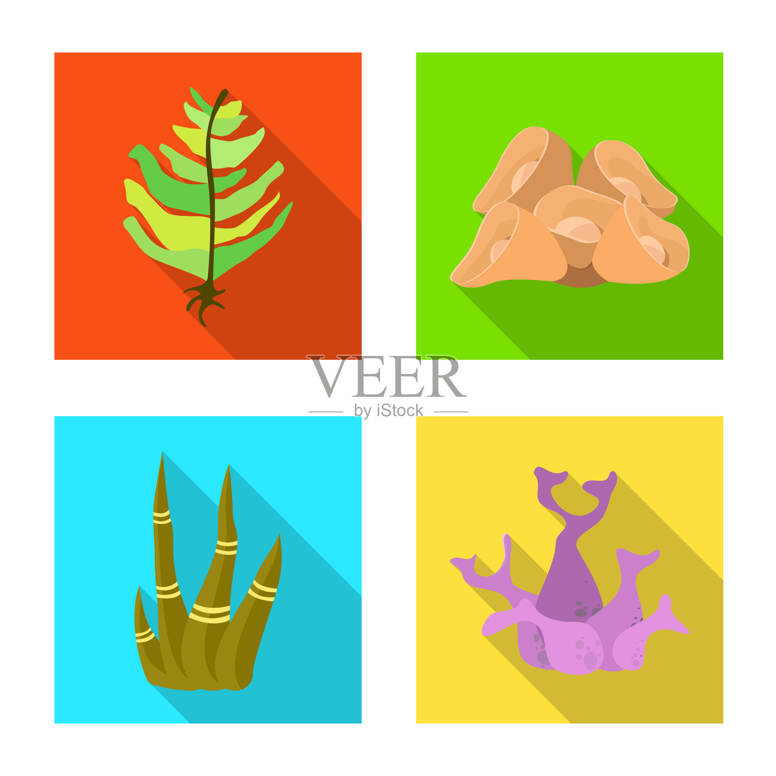 生物多样性与自然插画图片素材