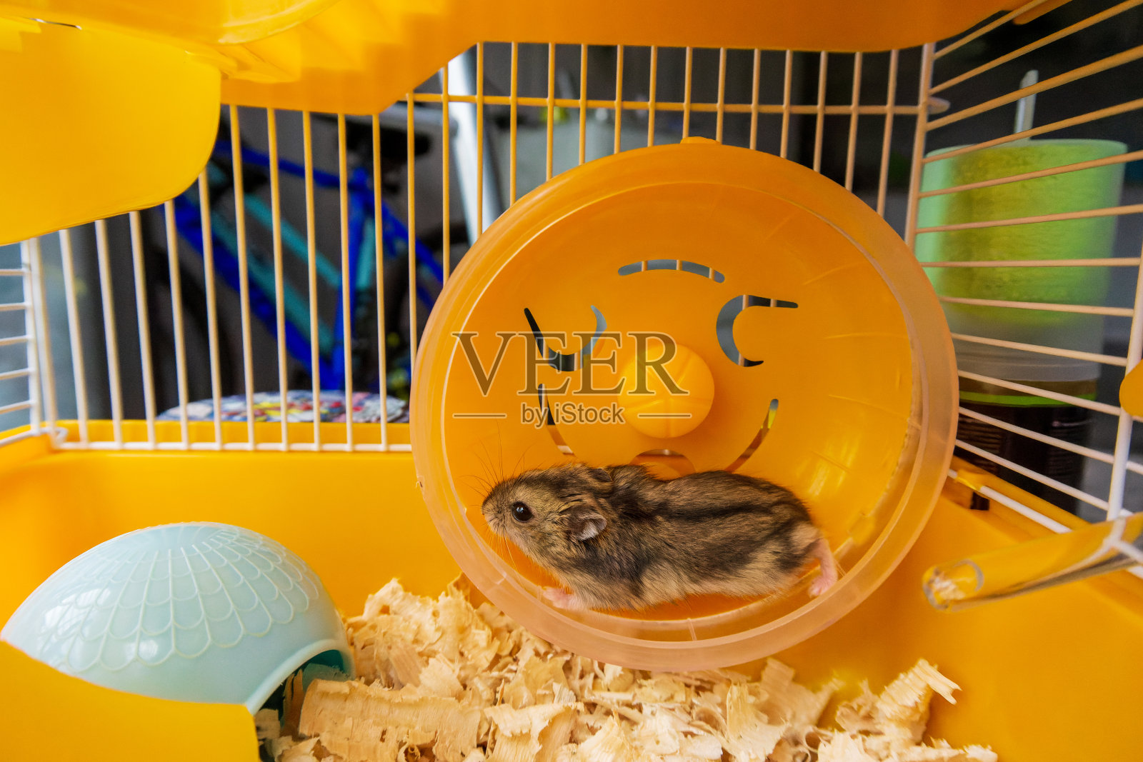 一只保加利亚仓鼠在笼子里的黄色轮子里奔跑。高质量照片照片摄影图片