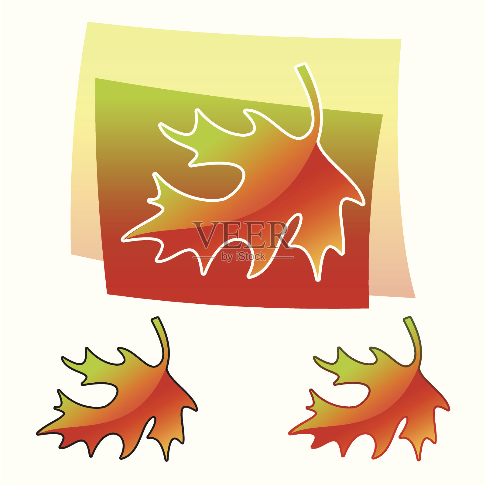 橡树叶插画图片素材