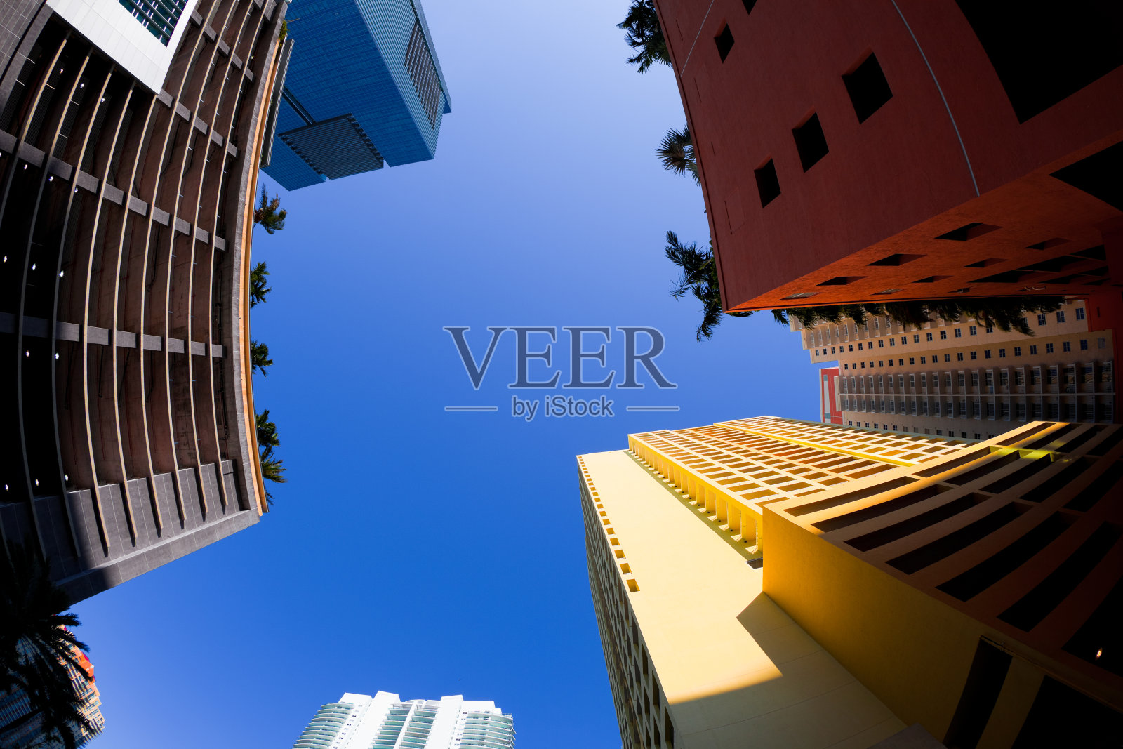 迈阿密的架构照片摄影图片