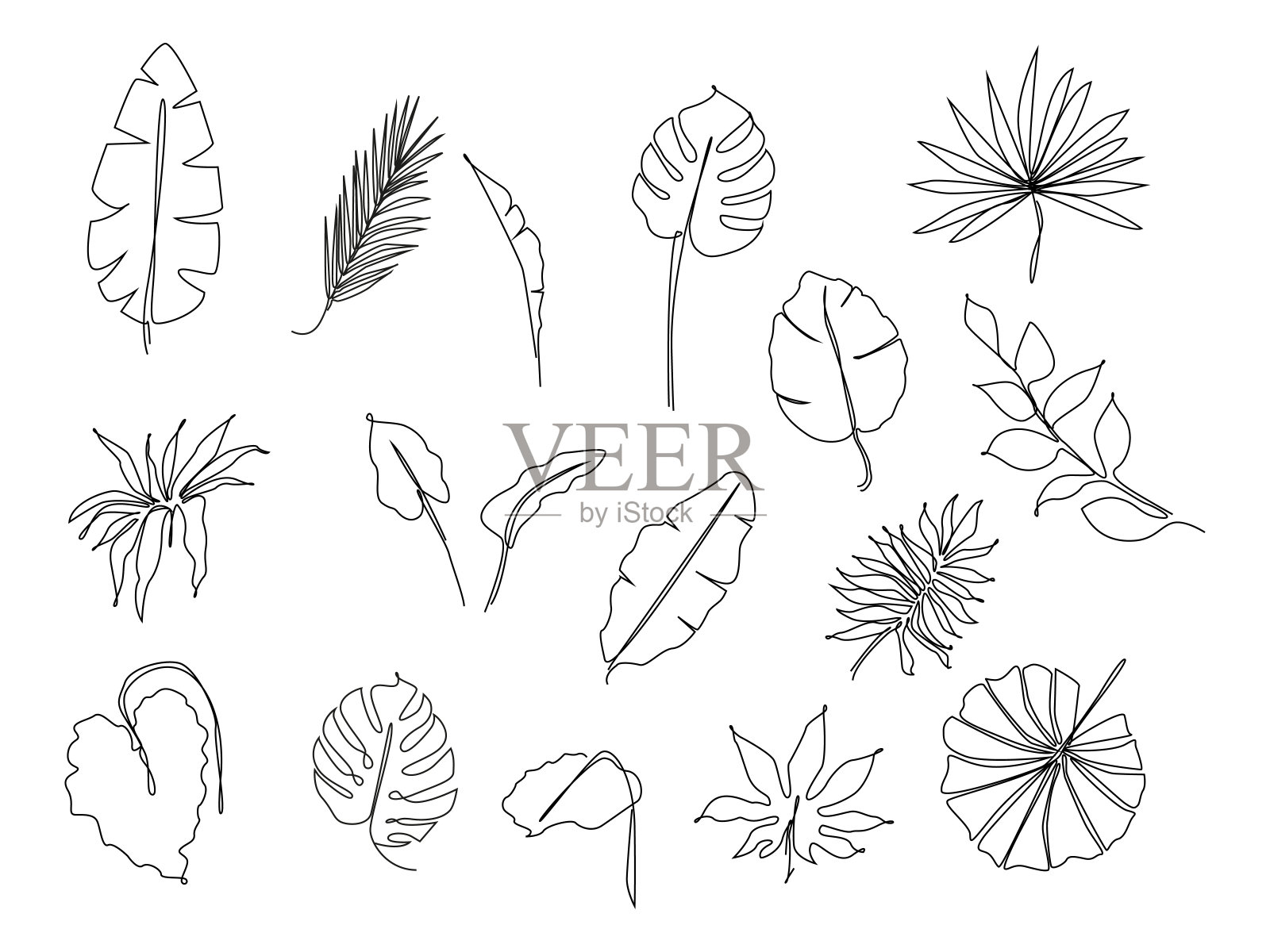热带树叶一行画。热带棕榈叶的连续线条绘制。单行异域棕榈叶。叶轮廓素描。丛林植物叶线艺术。设置热带树叶。插画图片素材