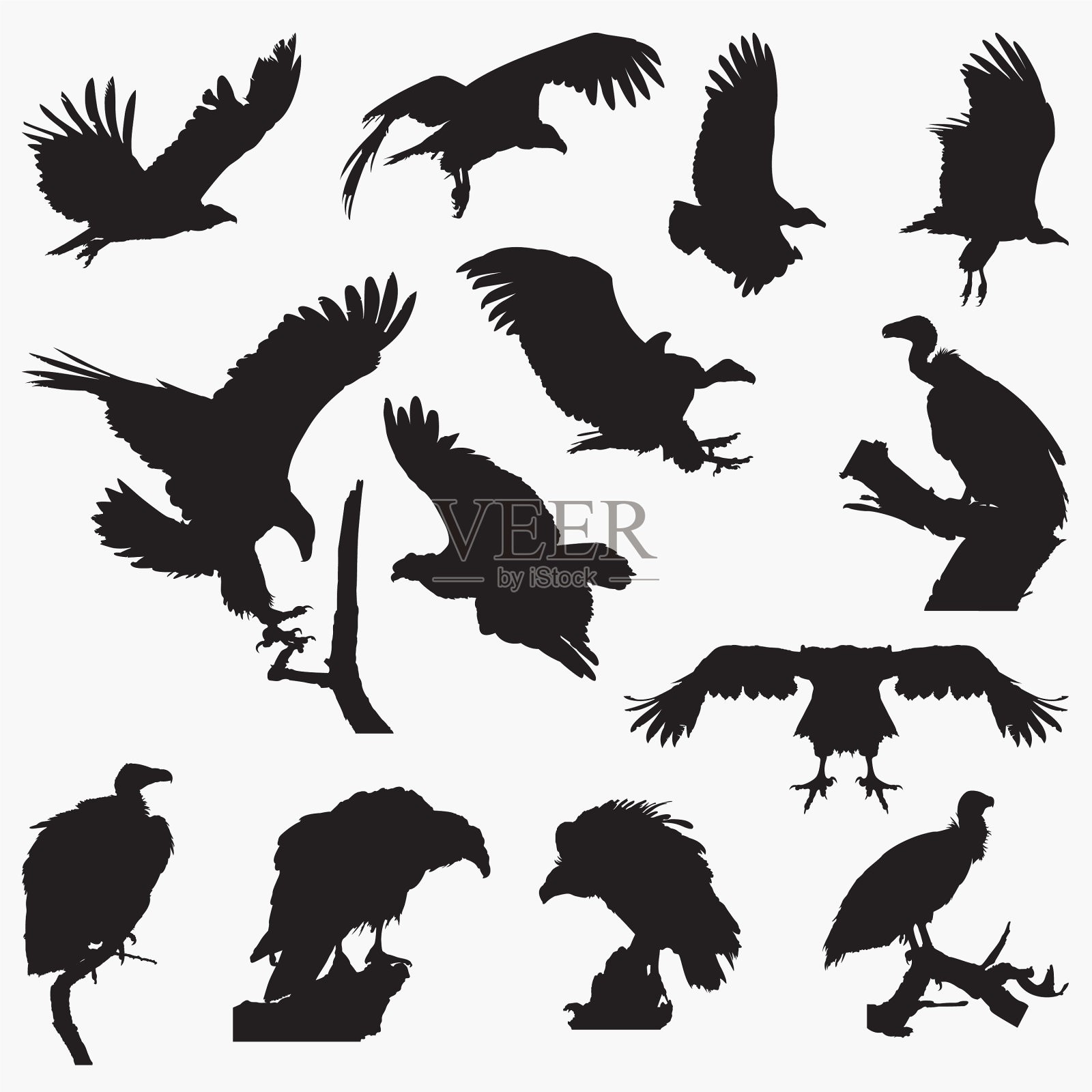 秃鹰轮廓插画图片素材