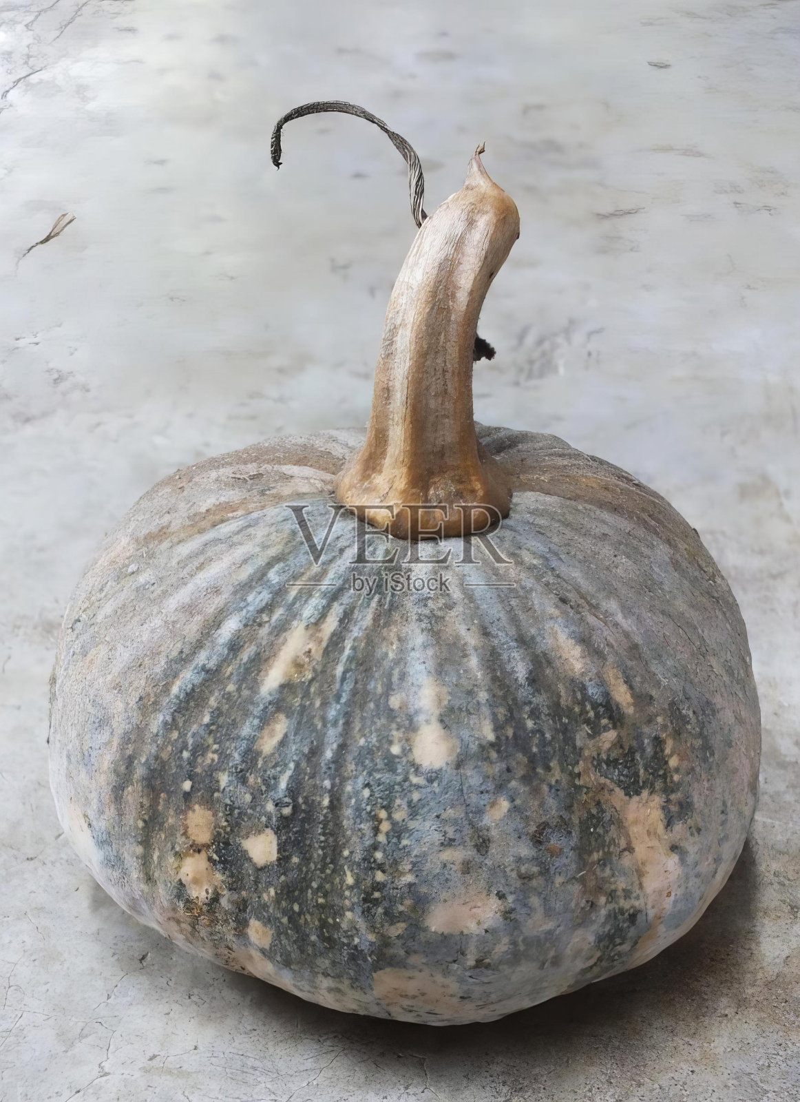 一个南瓜坐在水泥表面上的照片,南瓜用一个小金属钩坐在混凝土表面上。照片摄影图片