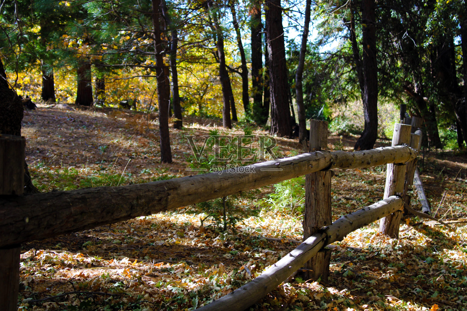 围栏种照片摄影图片
