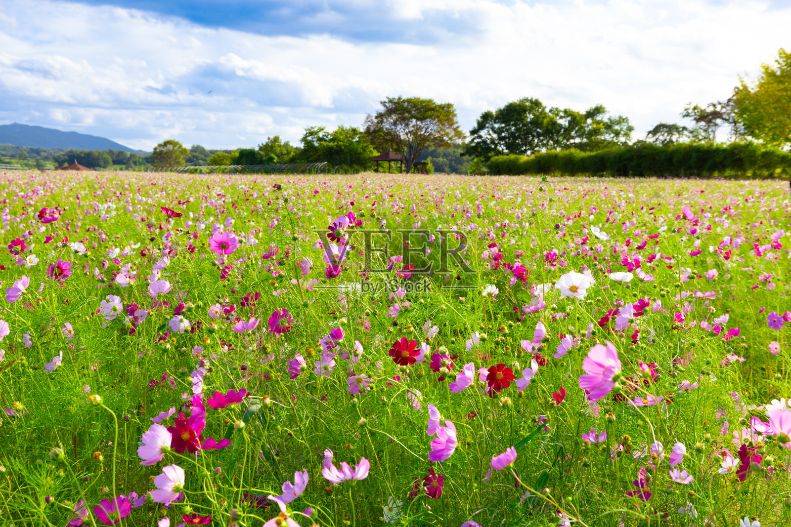 涟川堀谷罗的宇宙照片摄影图片