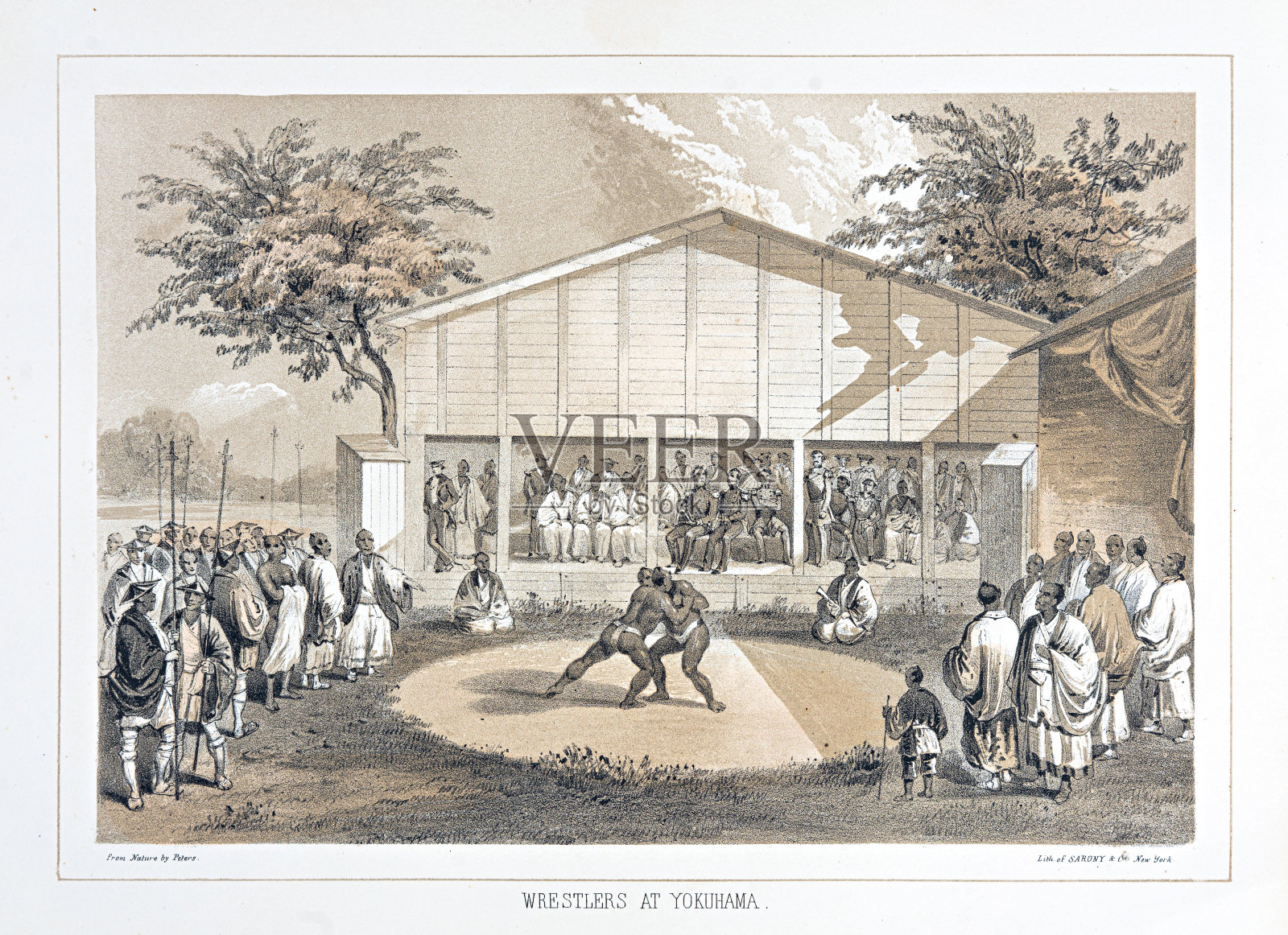 日本相扑手-相扑-彩印1856年插画图片素材