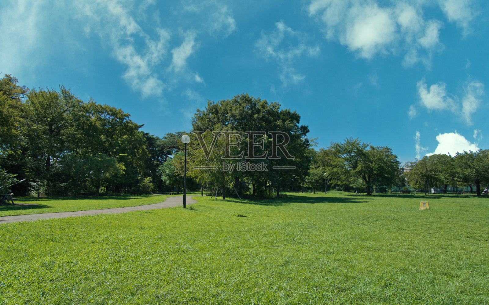 一个充满蓝天和草地的公园照片摄影图片