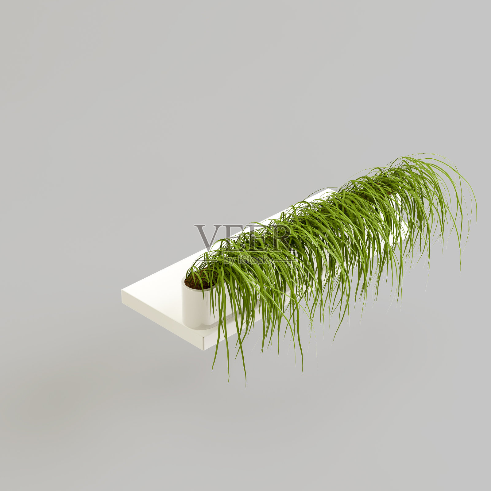 3d插图草在白色盆栽孤立在白色背景照片摄影图片