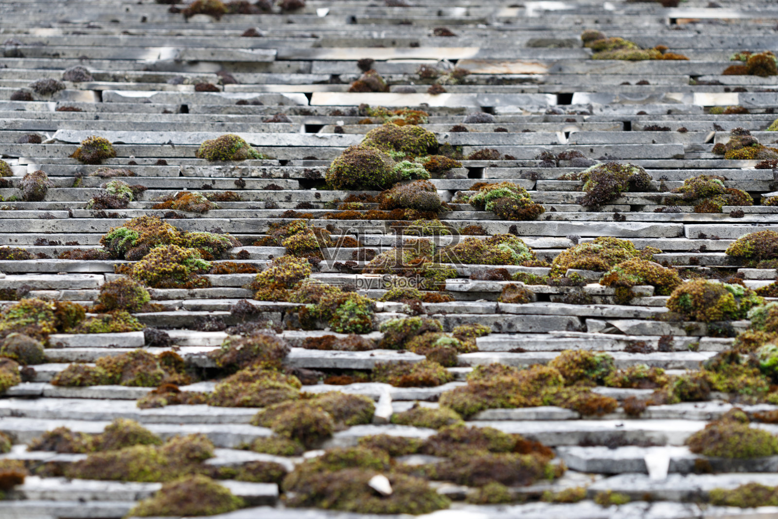 德国弗兰科尼亚的屋顶,侏罗纪的石头上长满了苔藓。集中在中间。照片摄影图片