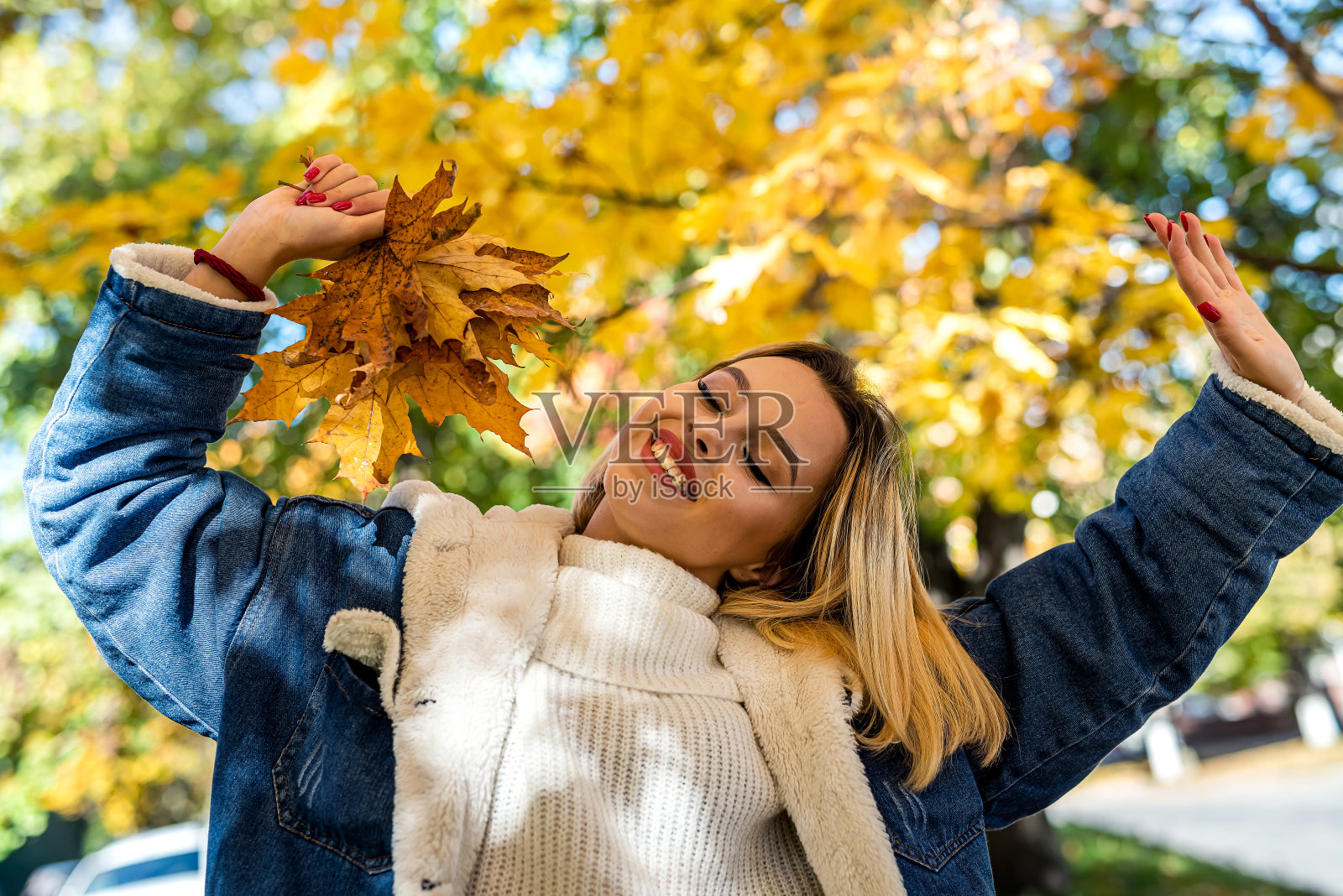 在秋天的公园或森林里散步的笑脸年轻女子的肖像照片摄影图片