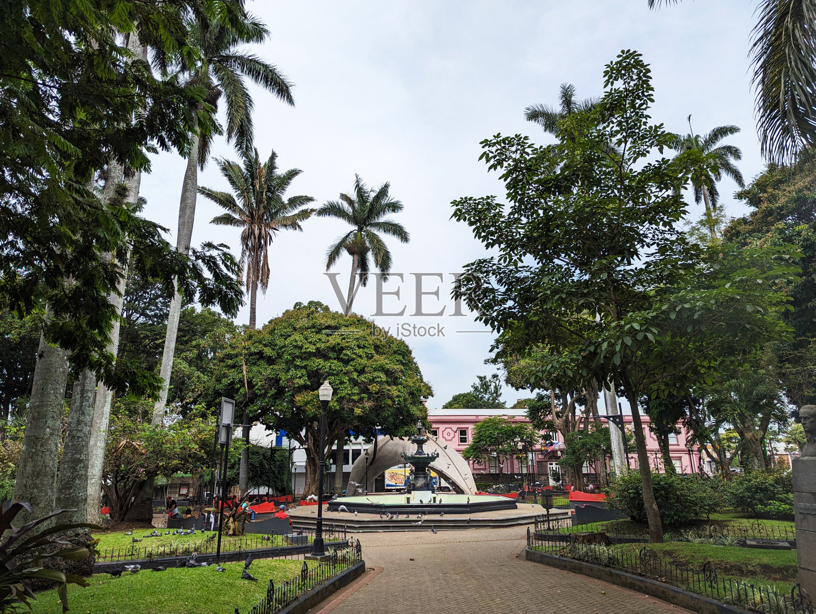 哥斯达黎加阿拉胡埃拉的托马斯瓜迪亚将军公园,也被称为芒果公园照片摄影图片