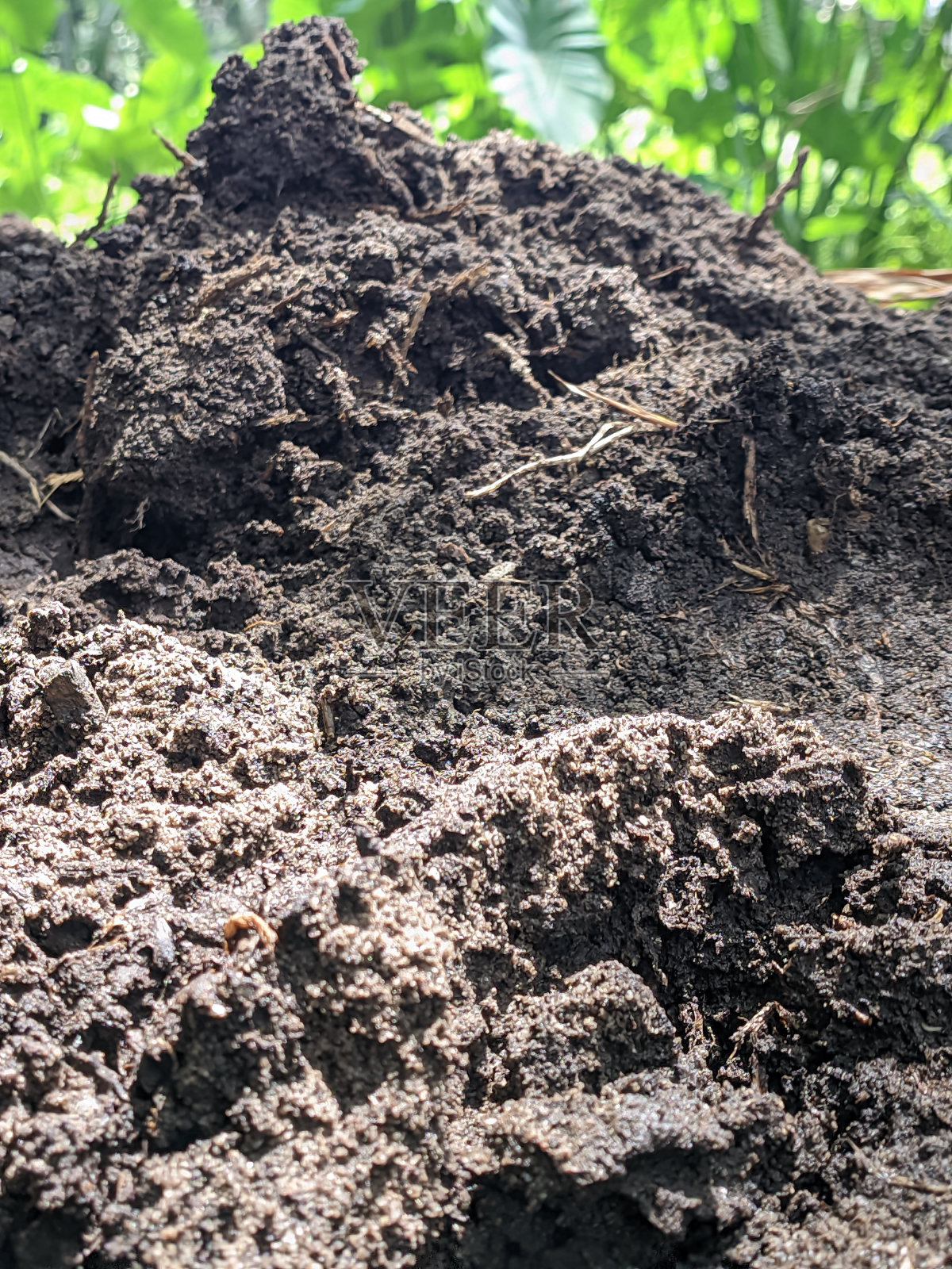 肥沃黑土的纹理,适合作为种植土壤照片摄影图片