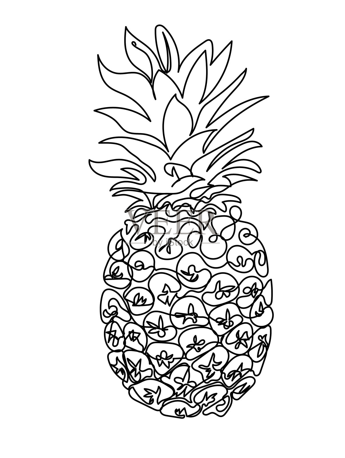 菠萝在透明背景上的连续线条绘制插画图片素材