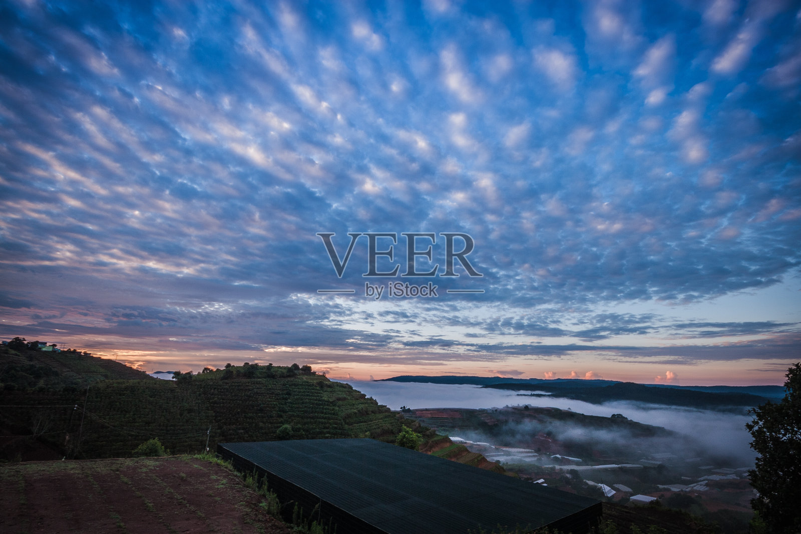 日出在大叻美丽的风景越南美丽的风景大叻大叻一个雾蒙蒙的早晨与美丽的云的颜色龙鳞云鱼鳞云照片摄影图片