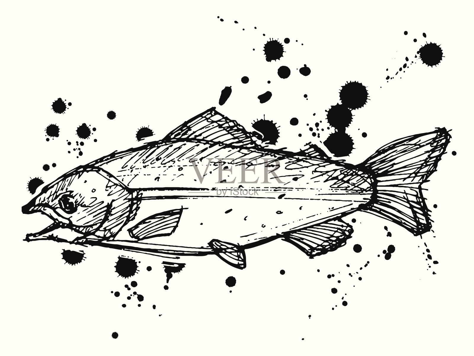 鱼插画图片素材