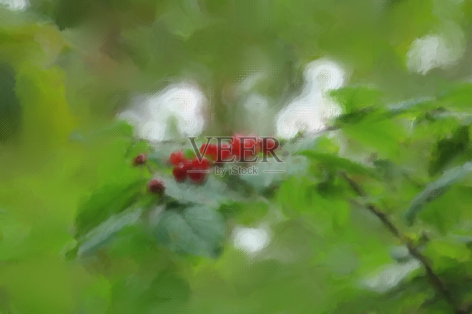 树枝上野生浆果的纹理艺术图片。插画图片素材