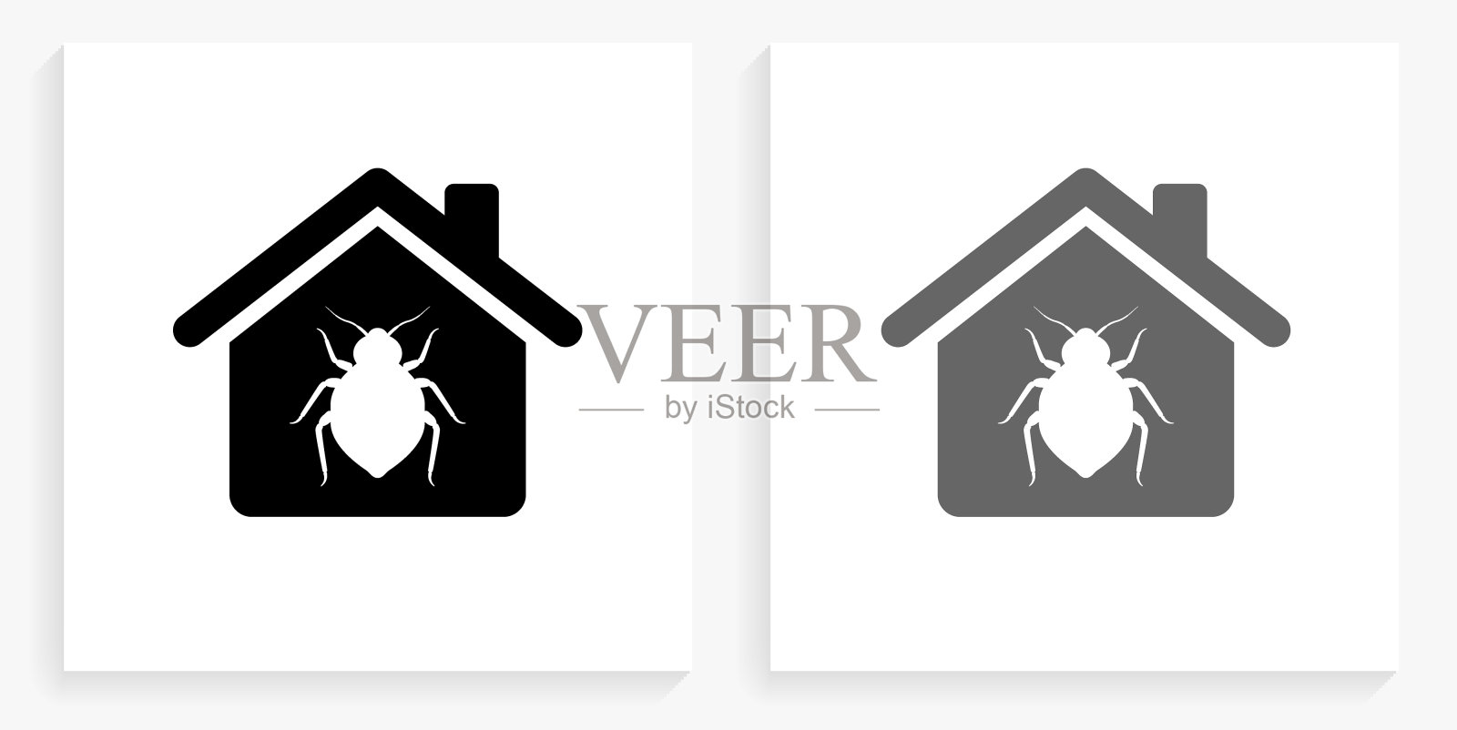 家里的臭虫黑白方块图标插画图片素材