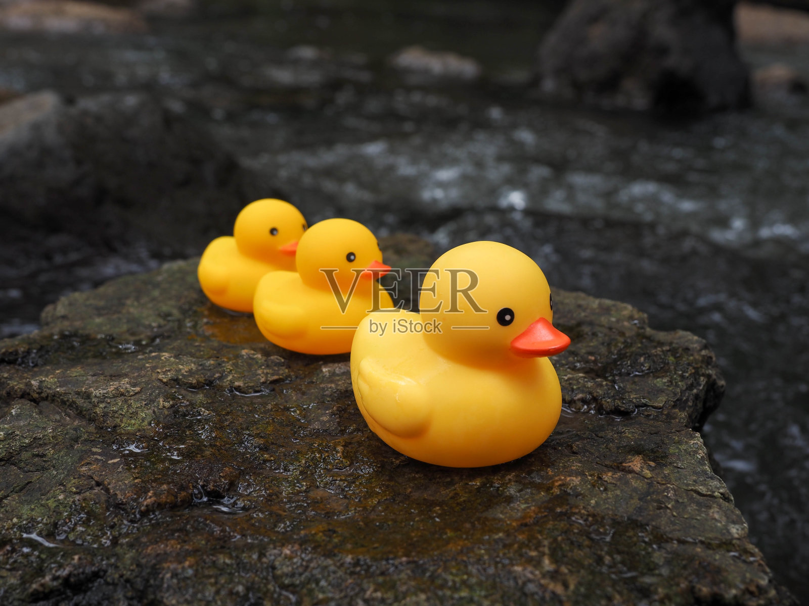 黄色的橡皮鸭玩具和小鸭子在瀑布边的岩石上玩耍照片摄影图片